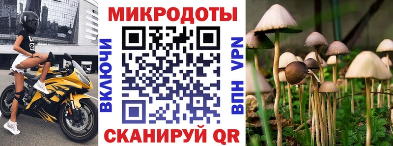 даркнет сайт  Яранск  Галлюциногенные грибы Cubensis 