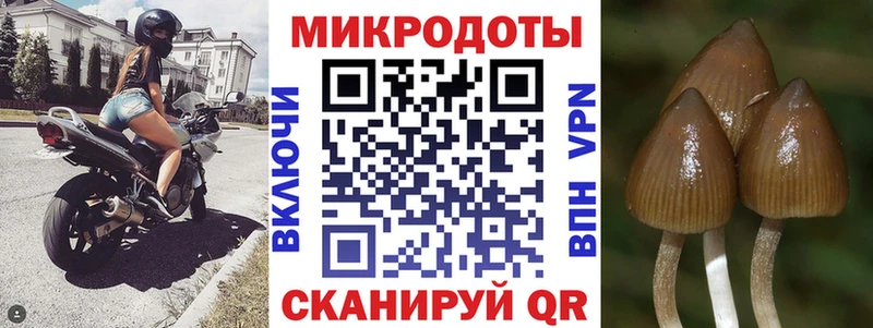 Галлюциногенные грибы Magic Shrooms Яранск